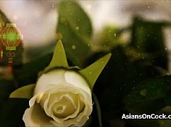 i'm suckin' that big asian princess's dick in the evenin'