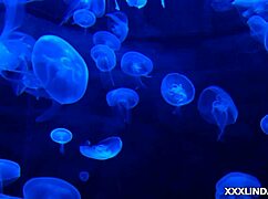 Tell me a secret that makes me very wet, latina brunette big ass small 18+ tits neighbors masturbation amateurs girl next door tits.