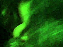 i gave the best blowjob and got a mouthful of cum in my mouth, cumshot all over