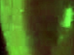 Doggystyle fun with stepsister on GoPro 😏