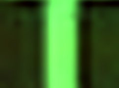 biggwest showing her pussy in this reality scene