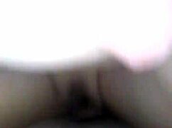 Skilled Rider Performs Expertly on Stage