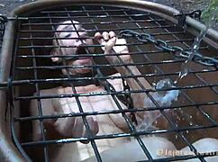 Brunette Sweetie Explores Wet Sensations