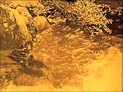 Dark Lantern Entertainment Presents The Dragonfly