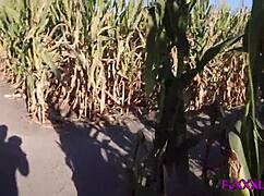 blond babe flashes tits in corn maze then gets anal assfucking with squirting and facial cumshot