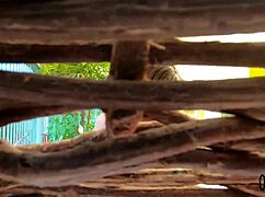 a novinha amadora luara amaral nos bastidores da sua primeira vez - big bambu - binho ted - sandro lima