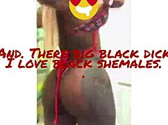 Trans People Explore Love in Intriguing Black Gay Scenarios