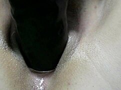 Gulosa Bengala Indian