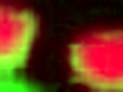 Delicious Jock Enjoys Late-Night Head in Bed with Partner