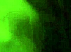 i’m so into this desi couple’s exotic vibe