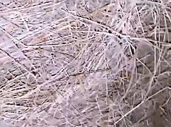 Blonde village girl gives blowjob and rides in attic.