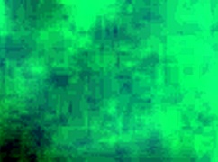 Thick ebony, bend over for that doggystyle