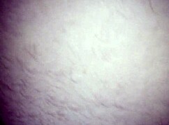 Watch her take that huge dildo in her ass.