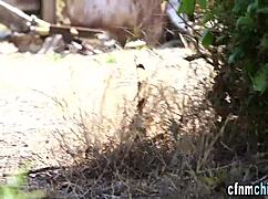 british cfnm babes sucking dick outdoors in a group