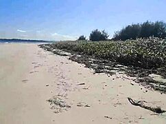 asian slut jj, you masturbating on the beach like that?