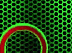 Hey Siri, Drill That Tight Pussy with Your Toys!