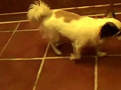 业余色情试镜带经典细节