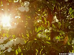 Aaliyah Love and Brad deepthroat and suck to fix issues