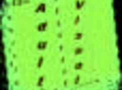 summertime saga 159 with big cock and small tits