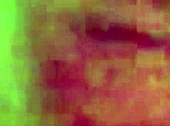 French girl sucks cock in POV 😍