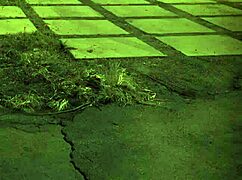 i love watching teen pantie grinding unless youre from the sixties and delve that hardcore domination