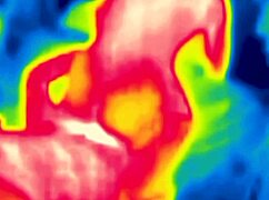 Fucking with thermal