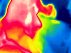 Fucking with thermal