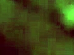 hotty babe sucks dick closeup on stairs