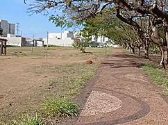 Curvy Latina with Long Hair Gives Blowjob to Stranger and Swallows Cumshot