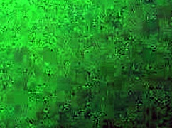 i’m overwhelmed, step sister stayed over in my bed for doggystyle fun