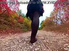 Follow My Footsteps Along The Path In The Evening Lonely Forest