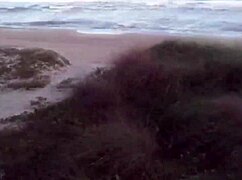 slipped my rod into her on the sandy beach last night