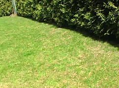 Lustful Bitch Pussy Gets Hard Fucked