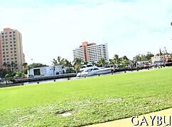 Free Homosexual Sex Videos!