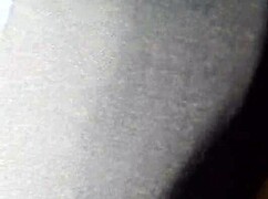 The Little Fox of the Villa in Spanish Countryside