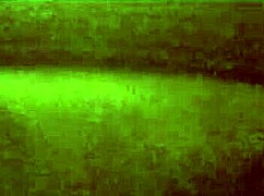 topanga1234 close up masturbating my wet pussy, feeling every intense sensation as i touch myself deeply