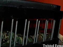 I Will Test Your Loyalty To The Absolute Limit