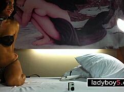 asian ladyboy gives a steamy blowjob while handcuffed to white guy