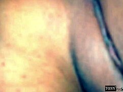 ay me equivoqué de hoyo perdón vecina pero usted me prometió el culo y ahora me cumple porque yo debo complacer a mis fans