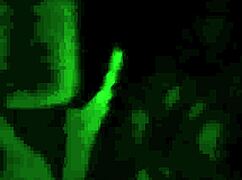 i tricked my boyfriend into fucking my ass at the costume party