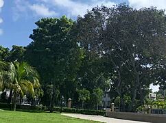 Gorgeous day with magnificent goddess, then hot sexy scene in pretty dress sucking tits