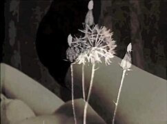 Exploring the wonderful world of vintage porn with hairy beavers