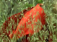 Hey, ever tried getting off on the grass like this with a dildo?