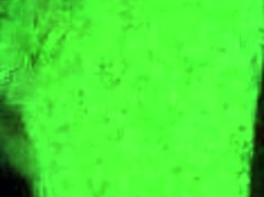 Learning to give a great blowjob and enjoying the afternoon alone at home