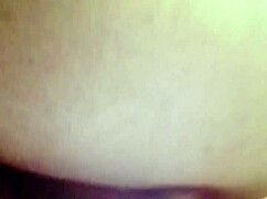 sundaydogood614 update 44 c360vid 20240128 163133 jan 29 2024