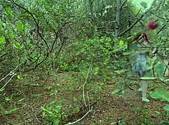 that clown took it deep in the ass at the halloween party