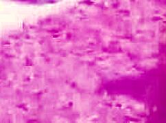 alexis malone, the lonely housewife, teases with deepthroat and rides hard in doggystyle