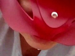 hey, called my wife's friend over to suck me off real good