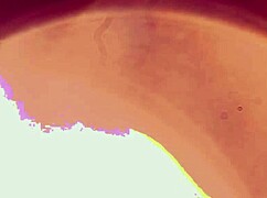 Natth and mario share an intimate blowjob and muff diving session in lingerie, teasing with natural tits.