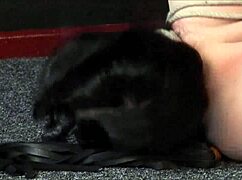 emma the amateur slavegirl gets hogtied, whipped, and gagged in intense bondage